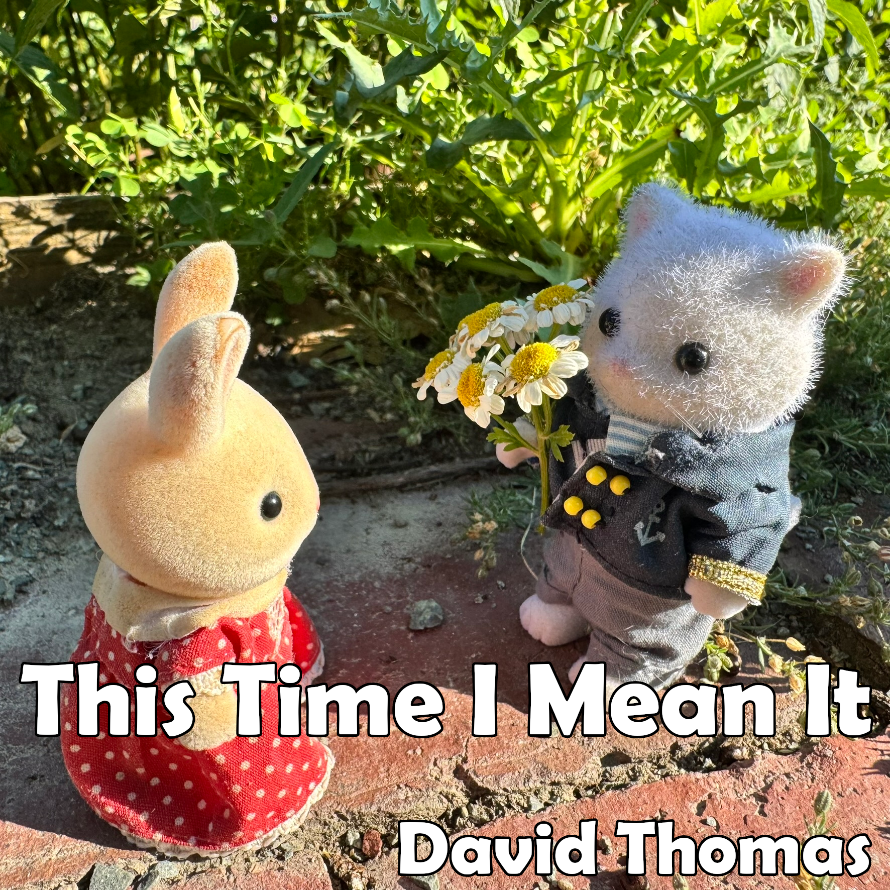 This Time I Mean It cover art